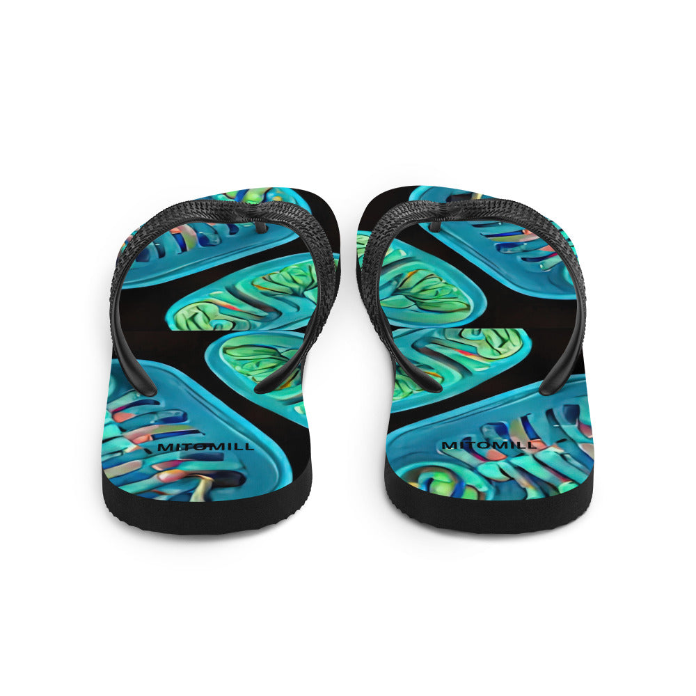 Flip-Flops