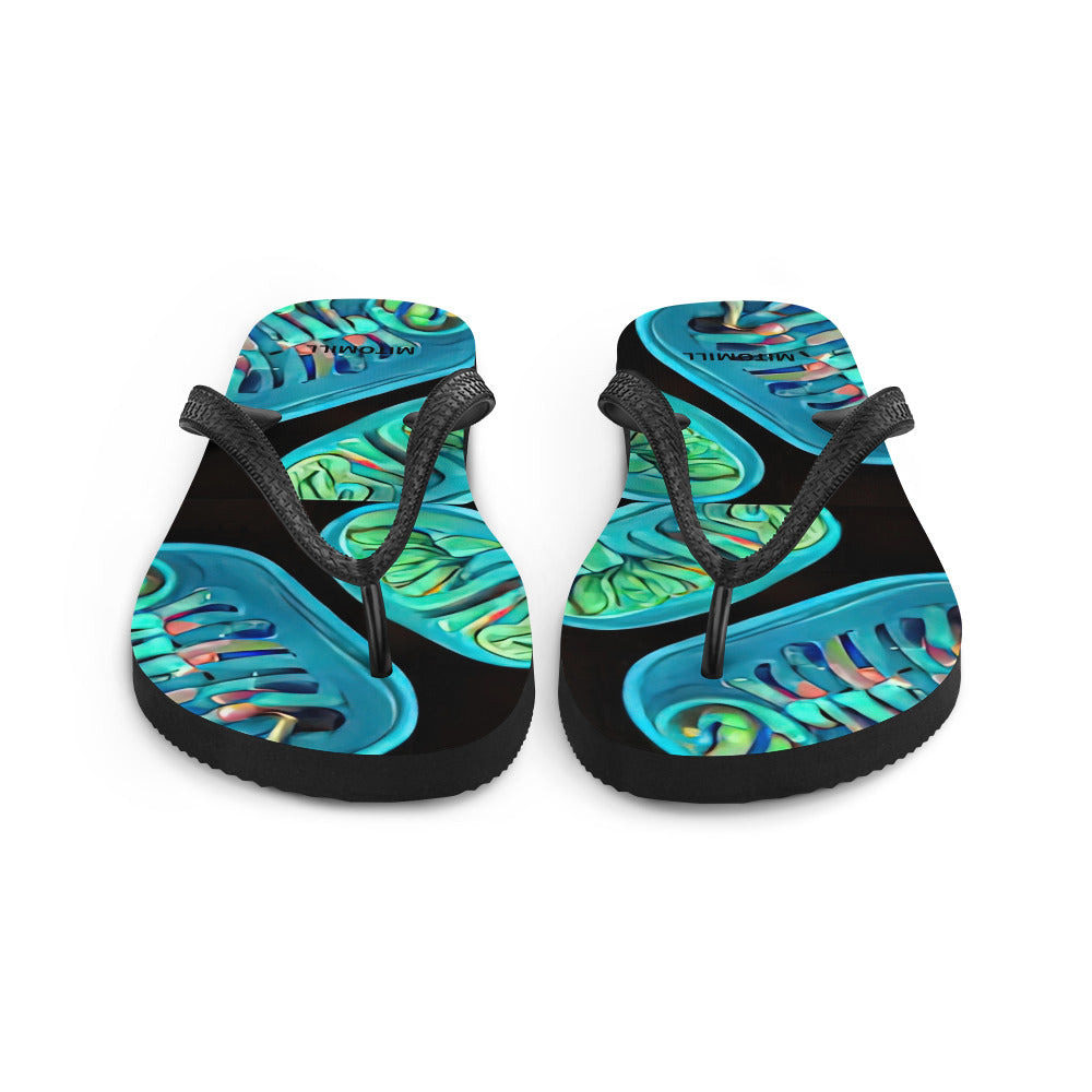 Flip-Flops
