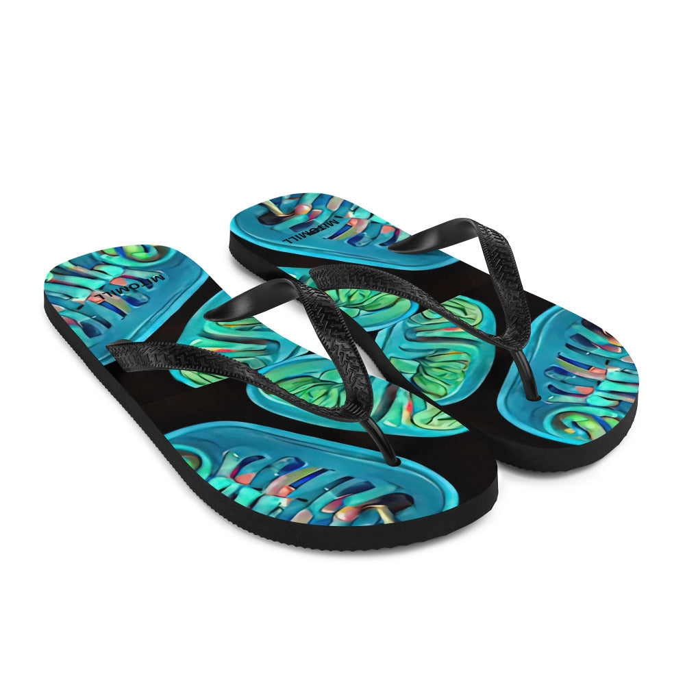 Flip-Flops