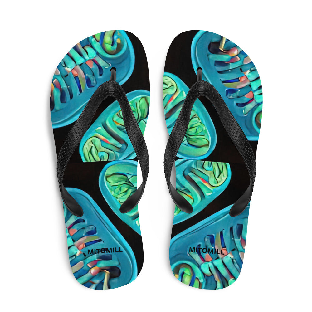 Flip-Flops